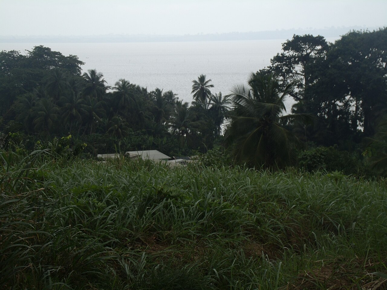 Vue de la lagune Aby à Adiaké