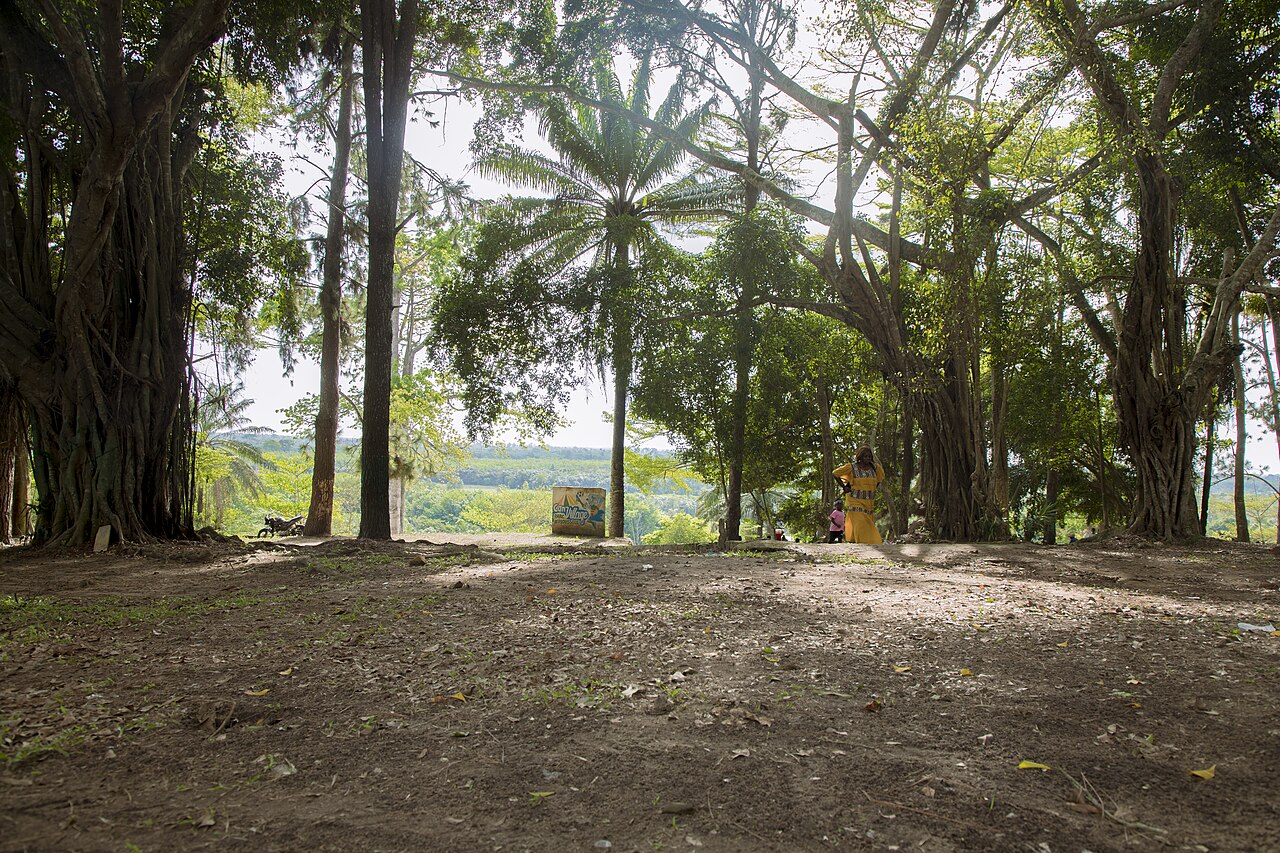 Parc M'Ploussoué de Bonoua