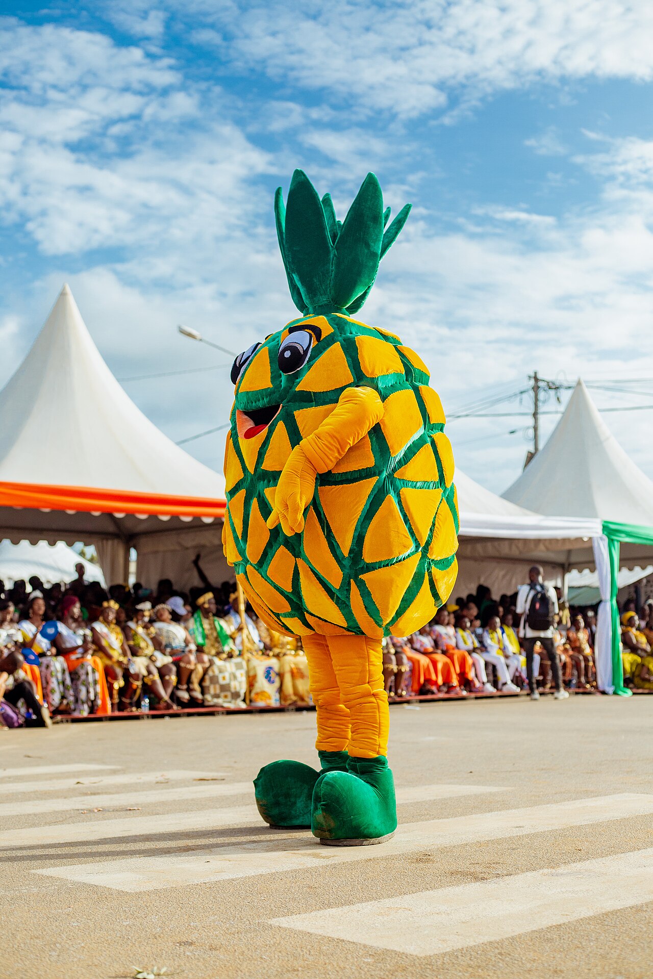 Mascotte du 44e Popo Carnaval de Bonoua
